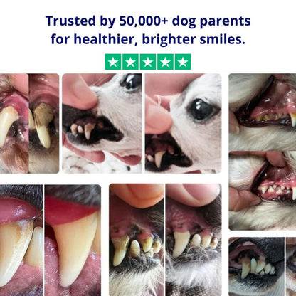 Pawra™ – Safe Sonic Dental Cleaner for Dogs