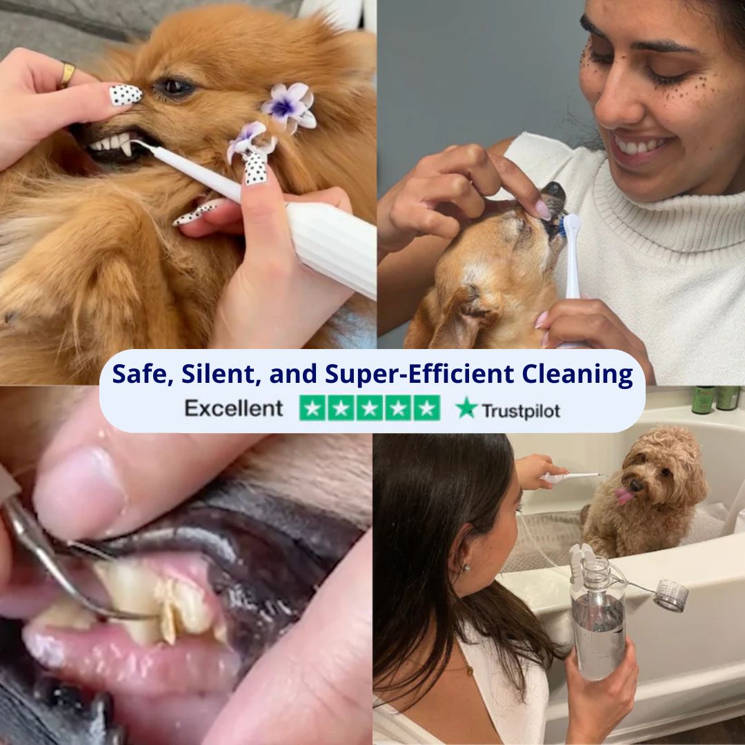 Pawra™ – Safe Sonic Dental Cleaner for Dogs