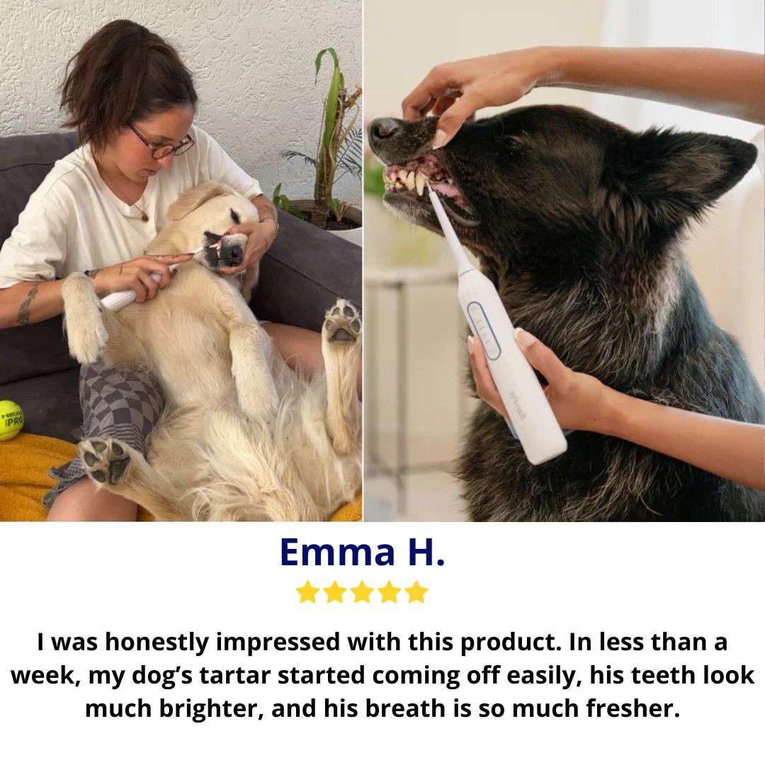 Pawra™ – Safe Sonic Dental Cleaner for Dogs