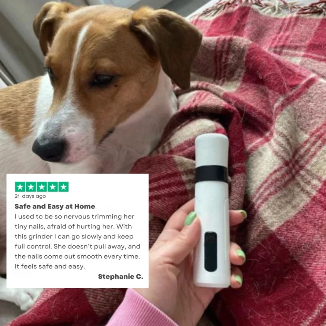 Pawra™ - Silent Groom