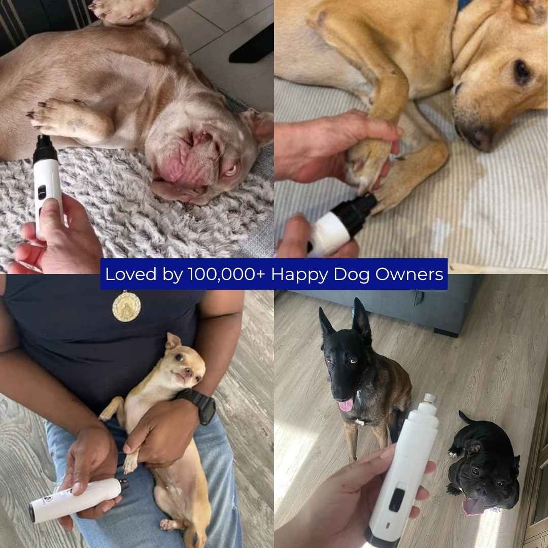 Pawra™ - Silent Groom