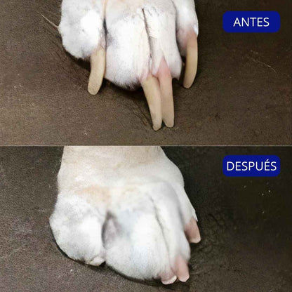 Pawra™ - Silent Groom