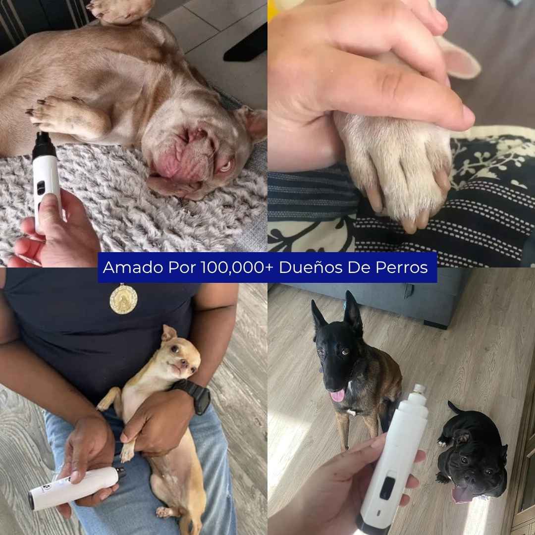 Pawra™ - Silent Groom