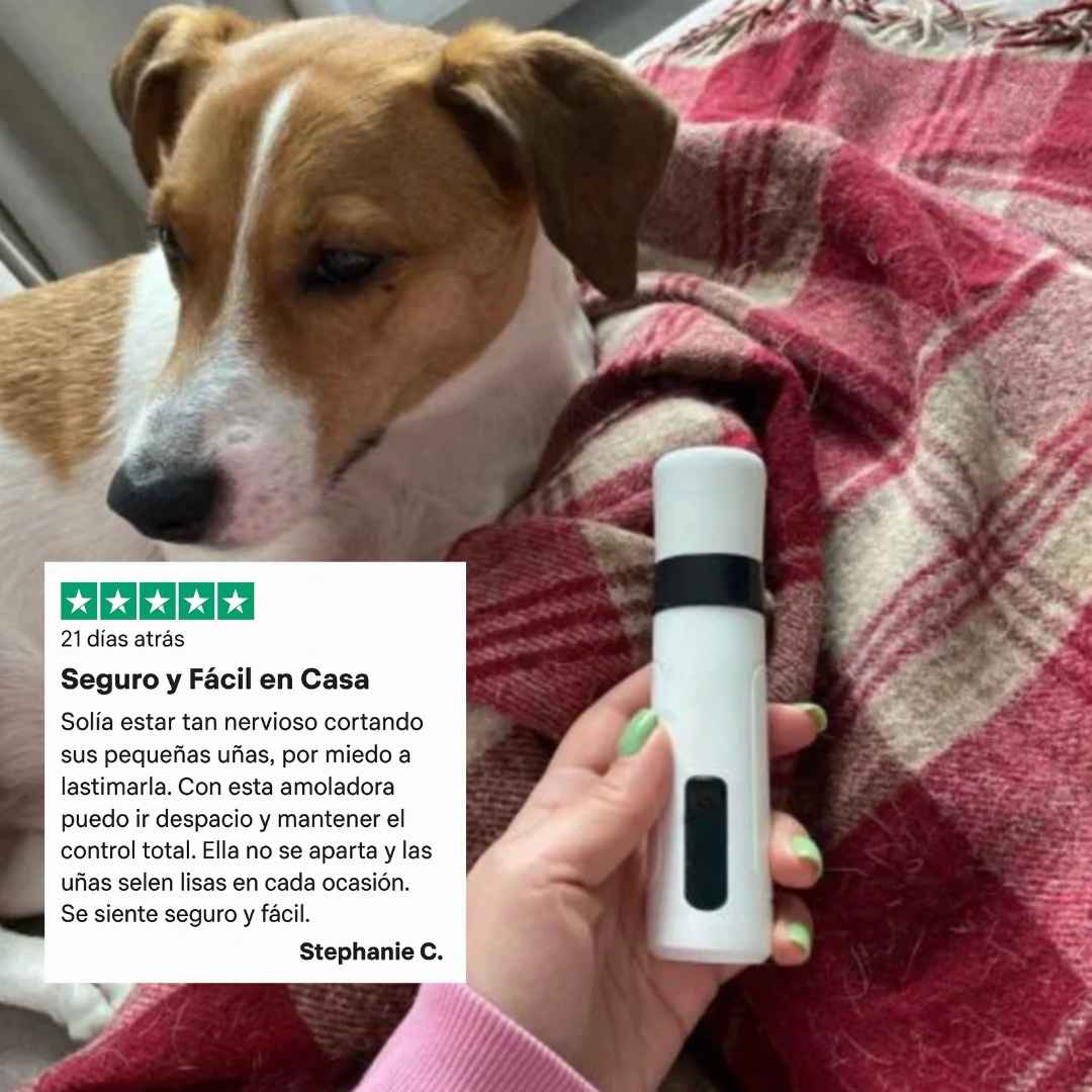 Pawra™ - Silent Groom